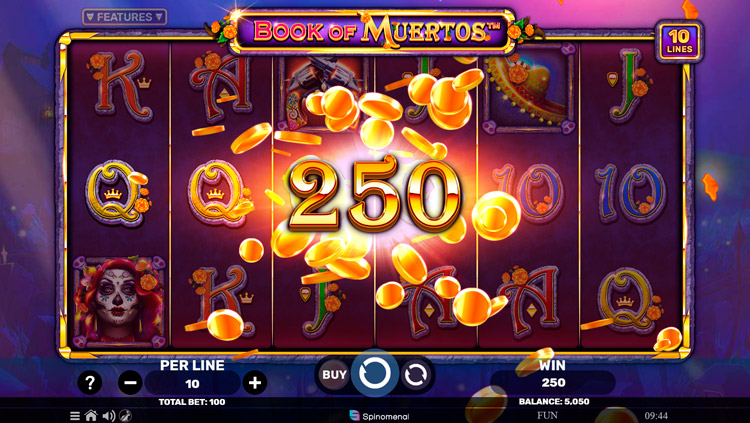 Winning in Book of Muertos machine