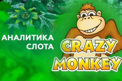 Crazy Monkey slot analytics